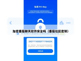 加密番茄聊天软件安全吗（番茄社区密钥）