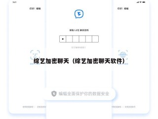 综艺加密聊天（综艺加密聊天软件）