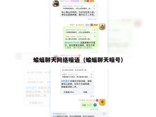 蝙蝠聊天网络暗语（蝙蝠聊天暗号）