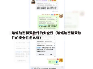 蝙蝠加密聊天软件的安全性（蝙蝠加密聊天软件的安全性怎么样）