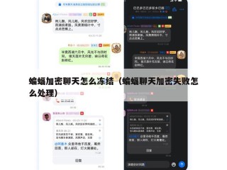 蝙蝠加密聊天怎么冻结（蝙蝠聊天加密失败怎么处理）