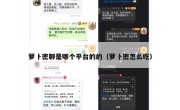 萝卜密聊是哪个平台的的（萝卜密怎么吃）
