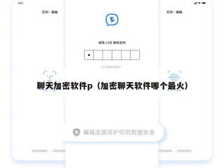 聊天加密软件p（加密聊天软件哪个最火）