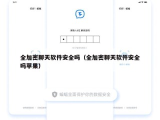 全加密聊天软件安全吗（全加密聊天软件安全吗苹果）