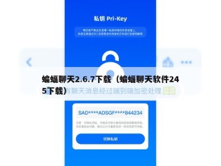 蝙蝠聊天2.6.7下载（蝙蝠聊天软件245下载）