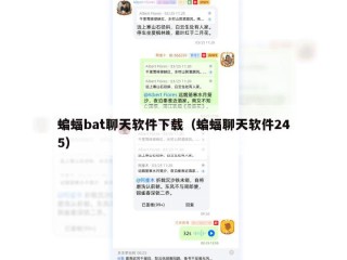 蝙蝠bat聊天软件下载（蝙蝠聊天软件245）