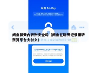 闲鱼聊天内转账安全吗（闲鱼在聊天记录里转账算平台支付么）
