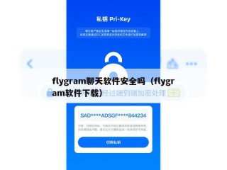 flygram聊天软件安全吗（flygram软件下载）