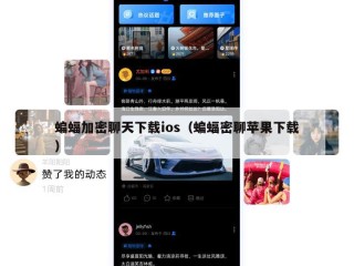 蝙蝠加密聊天下载ios（蝙蝠密聊苹果下载）