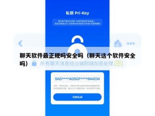 聊天软件最正规吗安全吗（聊天这个软件安全吗）