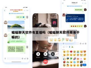蝙蝠聊天软件有直播吗（蝙蝠聊天软件用来干嘛的）