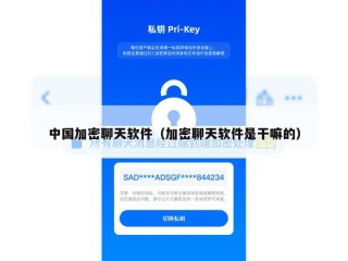 中国加密聊天软件（加密聊天软件是干嘛的）