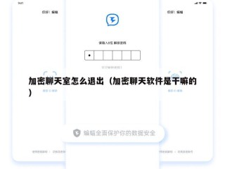 加密聊天室怎么退出（加密聊天软件是干嘛的）