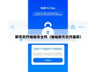 聊天软件蝙蝠安全吗（蝙蝠聊天软件最新）