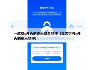 一款以s开头的聊天安全软件（英文字母s开头的聊天软件）