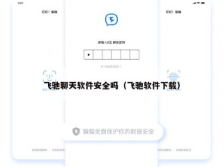 飞驰聊天软件安全吗（飞驰软件下载）