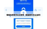 蝙蝠加密聊天玩法视频（蝙蝠聊天怎么加密）