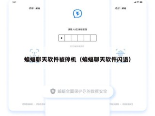 蝙蝠聊天软件被停机（蝙蝠聊天软件闪退）