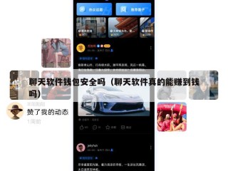 聊天软件钱包安全吗（聊天软件真的能赚到钱吗）