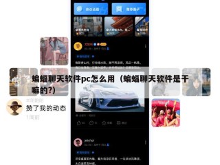 蝙蝠聊天软件pc怎么用（蝙蝠聊天软件是干嘛的?）