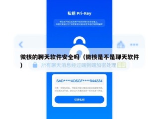 微核的聊天软件安全吗（微核是不是聊天软件）
