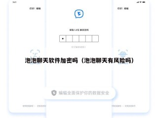 泡泡聊天软件加密吗（泡泡聊天有风险吗）