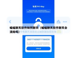 蝙蝠聊天软件如何聊天（蝙蝠聊天软件聊天会清除吗）