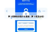 萝卜密聊投资是什么套路（萝卜密怎么吃）