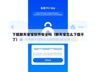 下载聊天宝宝软件安全吗（聊天宝怎么下载不了）