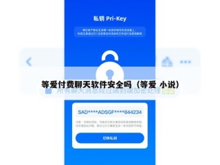 等爱付费聊天软件安全吗（等爱 小说）