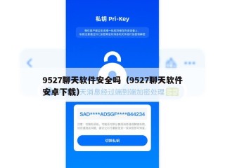9527聊天软件安全吗（9527聊天软件安卓下载）