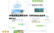 l开头的安全聊天软件（ll开头的社交软件叫什么）