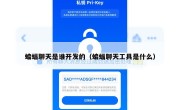 蝙蝠聊天是谁开发的（蝙蝠聊天工具是什么）