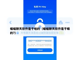 蝙蝠聊天软件是干啥的（蝙蝠聊天软件是干嘛的?）