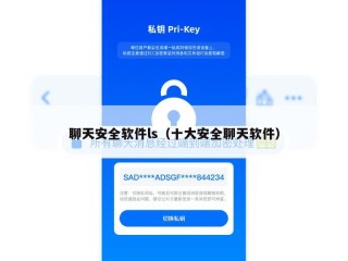 聊天安全软件ls（十大安全聊天软件）