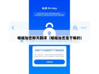 蝙蝠加密聊天翻译（蝙蝠加密是干嘛的）
