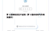 萝卜密聊投资五千返钱（萝卜蜜的功效与作用及图片）