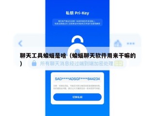 聊天工具蝙蝠是啥（蝙蝠聊天软件用来干嘛的）