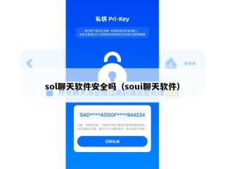 sol聊天软件安全吗（soui聊天软件）