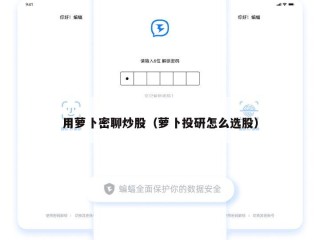 用萝卜密聊炒股（萝卜投研怎么选股）