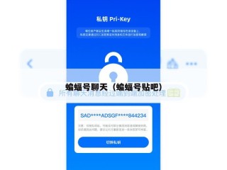 蝙蝠号聊天（蝙蝠号贴吧）