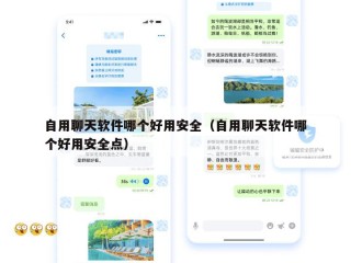 自用聊天软件哪个好用安全（自用聊天软件哪个好用安全点）