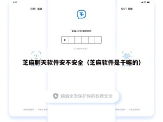 芝麻聊天软件安不安全（芝麻软件是干嘛的）
