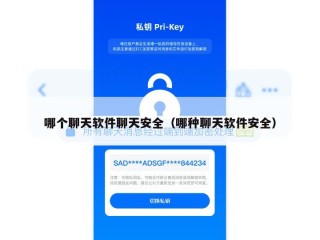 哪个聊天软件聊天安全（哪种聊天软件安全）