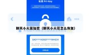 聊天小火苗加密（聊天小火花怎么恢复）