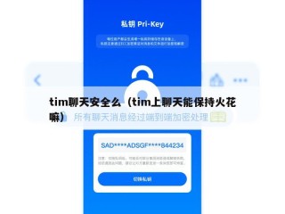 tim聊天安全么（tim上聊天能保持火花嘛）