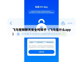 飞马视频聊天安全吗知乎（飞马是什么app）