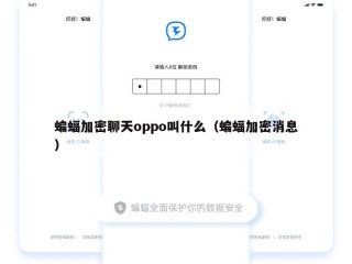 蝙蝠加密聊天oppo叫什么（蝙蝠加密消息）