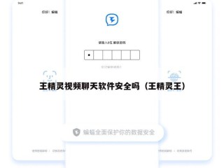 王精灵视频聊天软件安全吗（王精灵王）