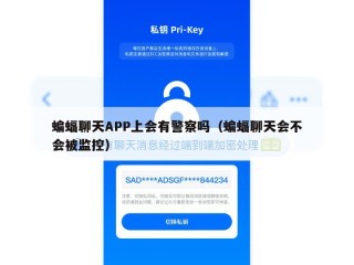 蝙蝠聊天APP上会有警察吗（蝙蝠聊天会不会被监控）